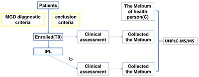 Lipidomics Profiles Revealed Alterations in Patients With Meibomian Gland Dysfunction After Exposure to Intense Pulsed Light